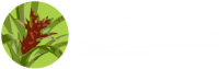 Logo Padrão - Menu Principal - PPBio MA